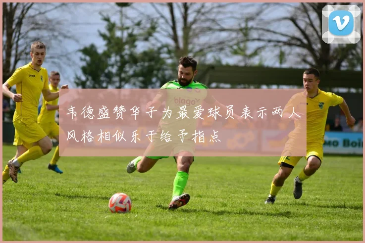 韦德盛赞华子为最爱球员表示两人风格相似乐于给予指点